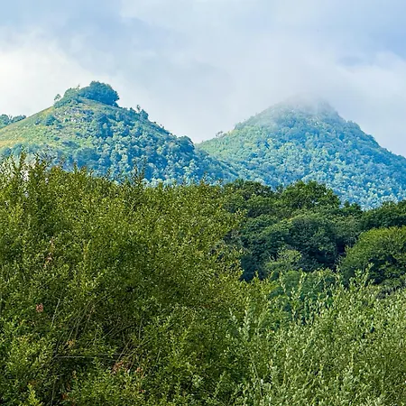 Nyaraló Le Domaine De Rose Lourdes